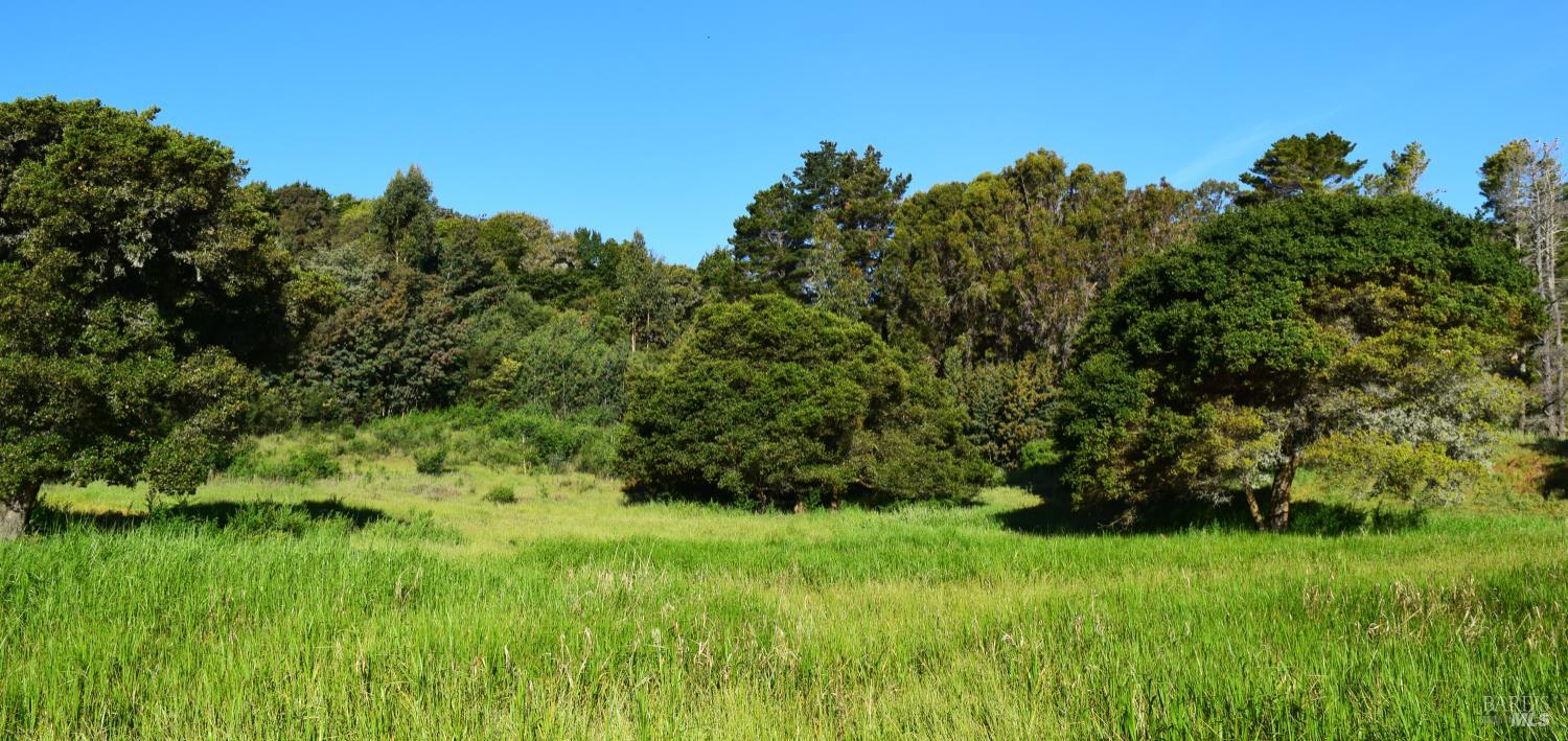 Detail Gallery Image 14 of 14 For 3800 Paradise Dr, Tiburon,  CA 94920 - – Beds | – Baths