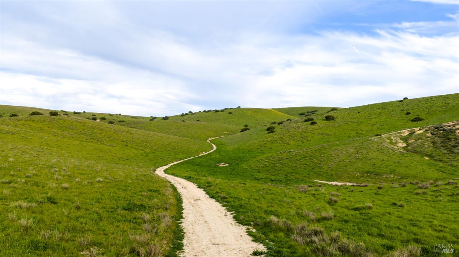 Detail Gallery Image 17 of 44 For 8050 Bitterwater Rd, Shandon,  CA 93461 - 3 Beds | 1 Baths