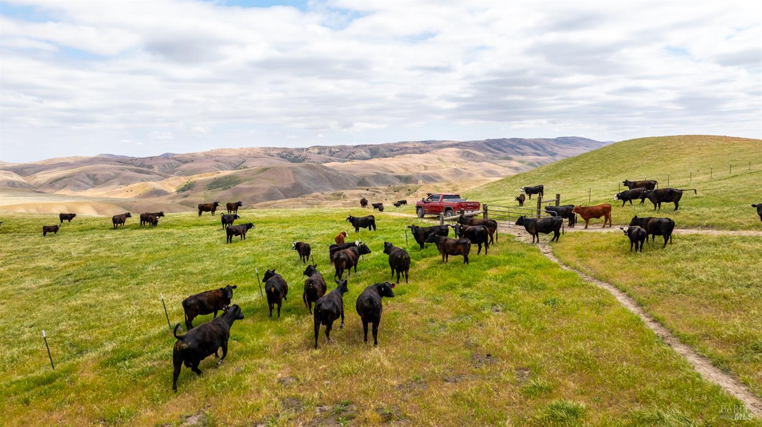 Detail Gallery Image 5 of 44 For 8050 Bitterwater Rd, Shandon,  CA 93461 - 3 Beds | 1 Baths