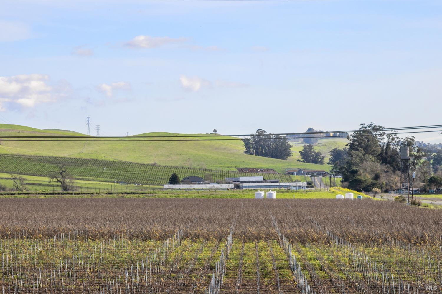 Detail Gallery Image 37 of 46 For 35 Princeville Ct, Petaluma,  CA 94954 - 4 Beds | 3 Baths