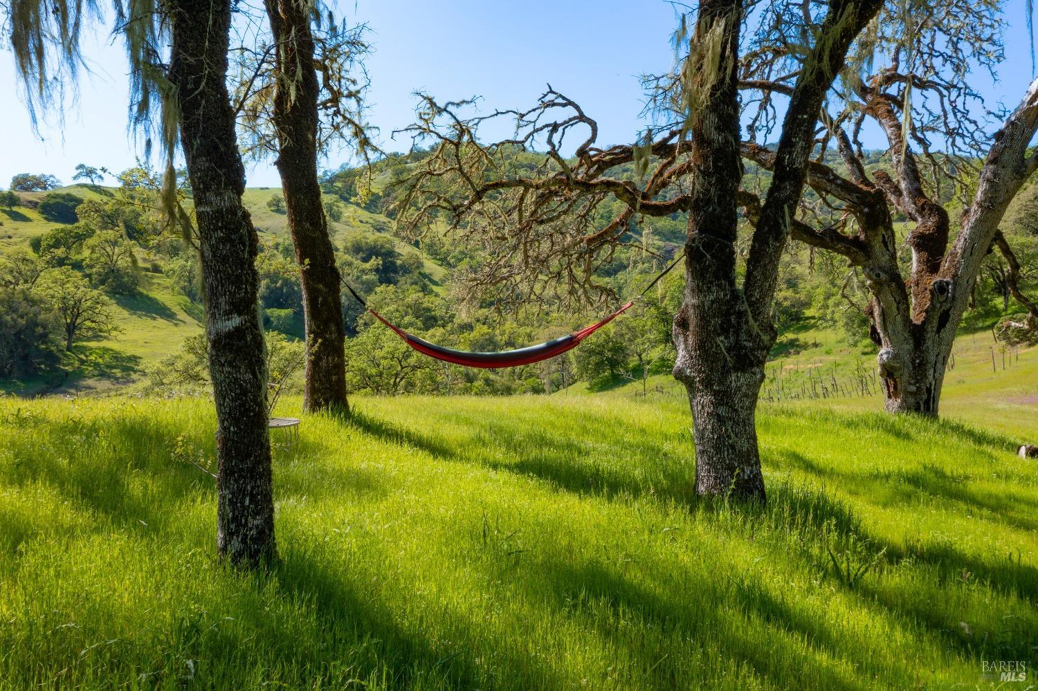 Detail Gallery Image 48 of 55 For 2200 Mcnab Ranch Rd, Ukiah,  CA 95482 - 4 Beds | 2/1 Baths