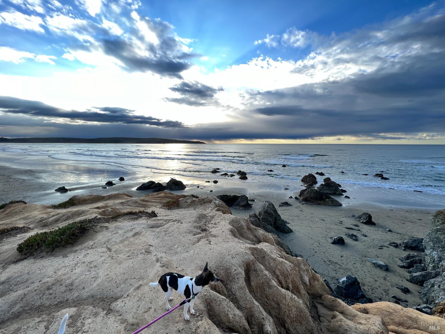 Detail Gallery Image 21 of 23 For 75 Ocean View Ave, Dillon Beach,  CA 94929 - 3 Beds | 2 Baths