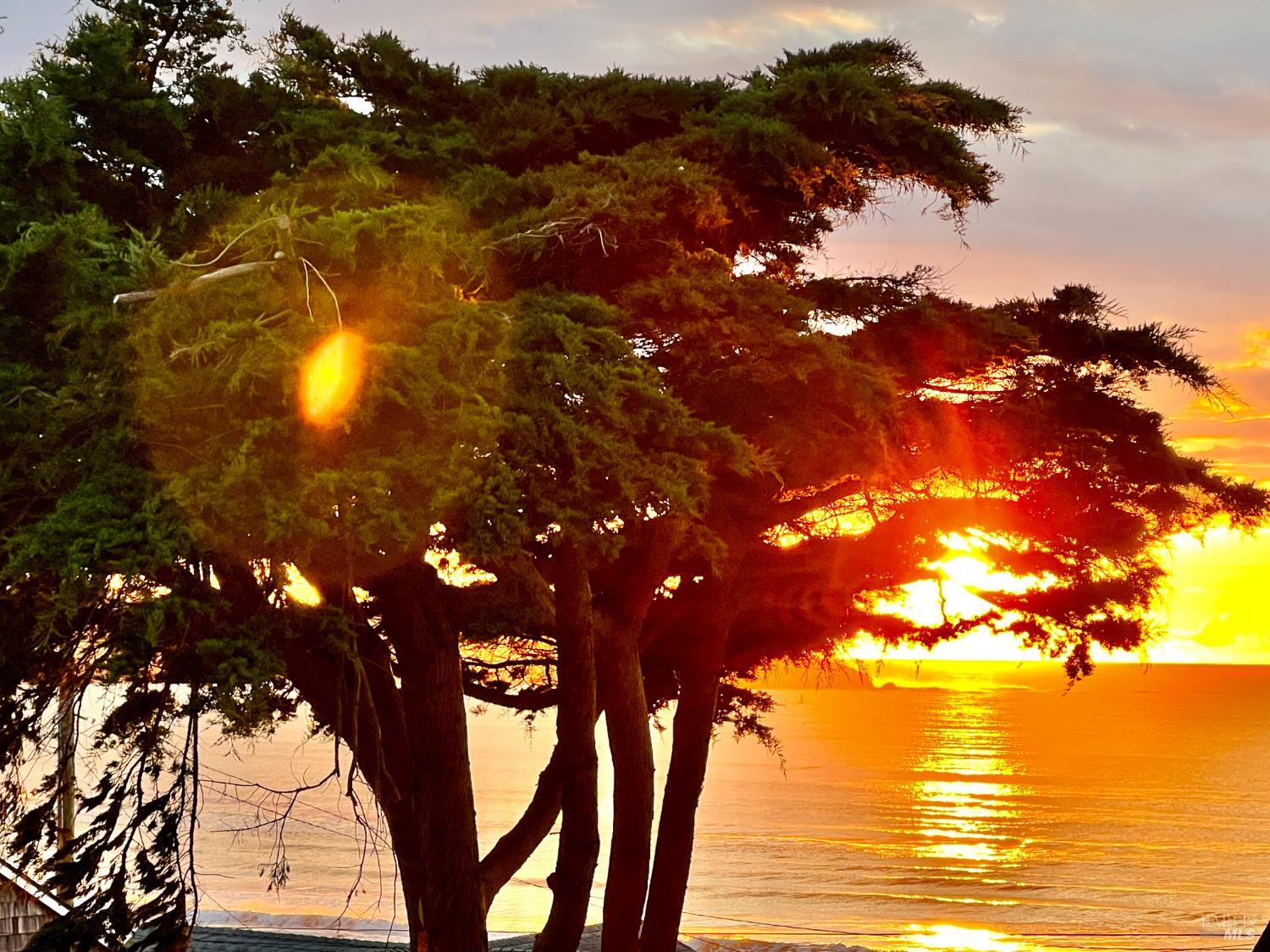 Detail Gallery Image 23 of 23 For 75 Ocean View Ave, Dillon Beach,  CA 94929 - 3 Beds | 2 Baths