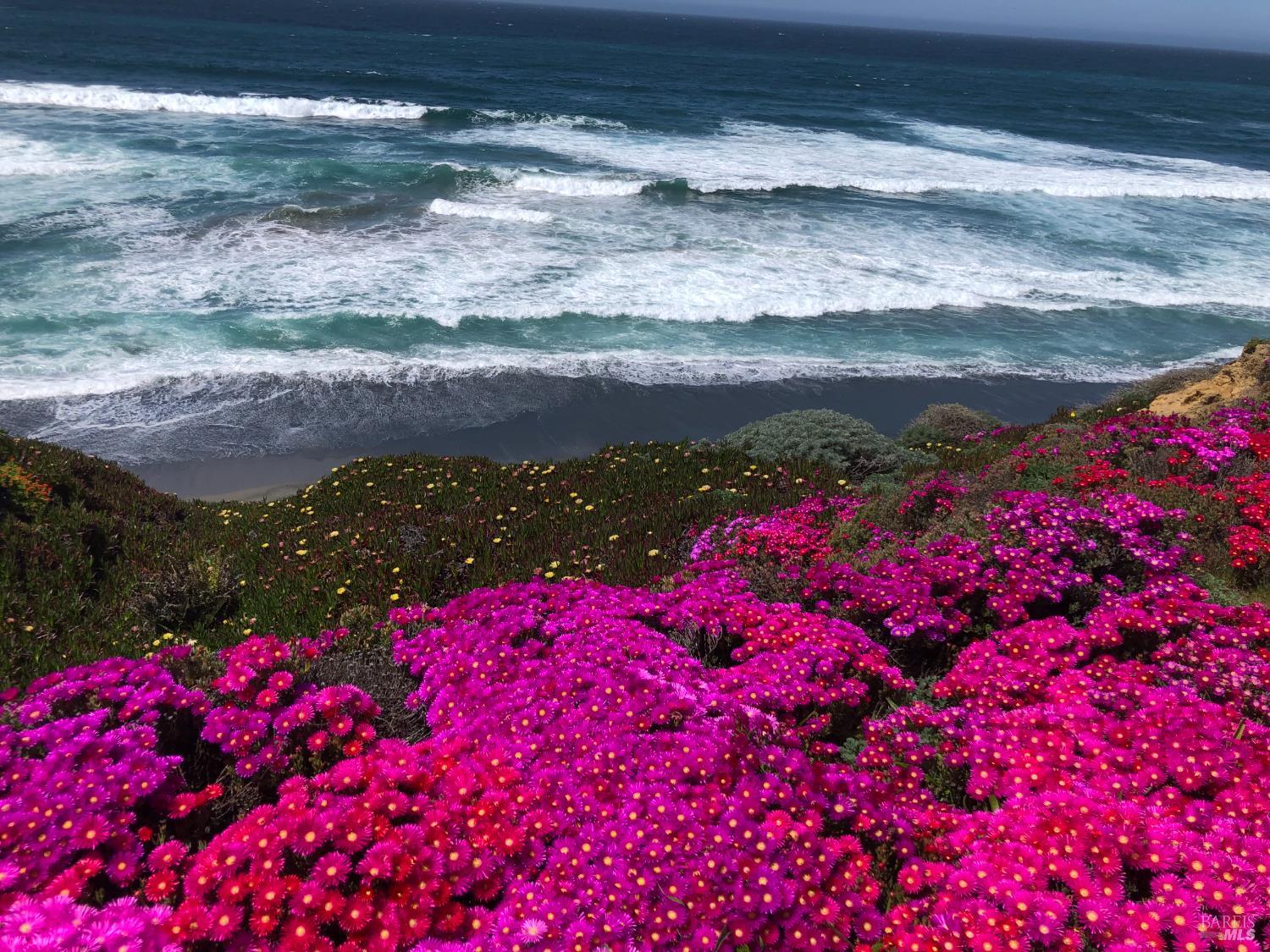 Detail Gallery Image 71 of 77 For 36939 Green Cove Dr, The Sea Ranch,  CA 95497 - 3 Beds | 3 Baths