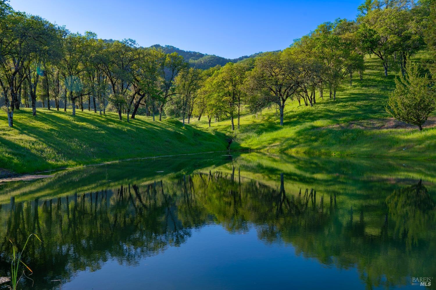 Detail Gallery Image 46 of 55 For 2200 Mcnab Ranch Rd, Ukiah,  CA 95482 - 4 Beds | 2/1 Baths