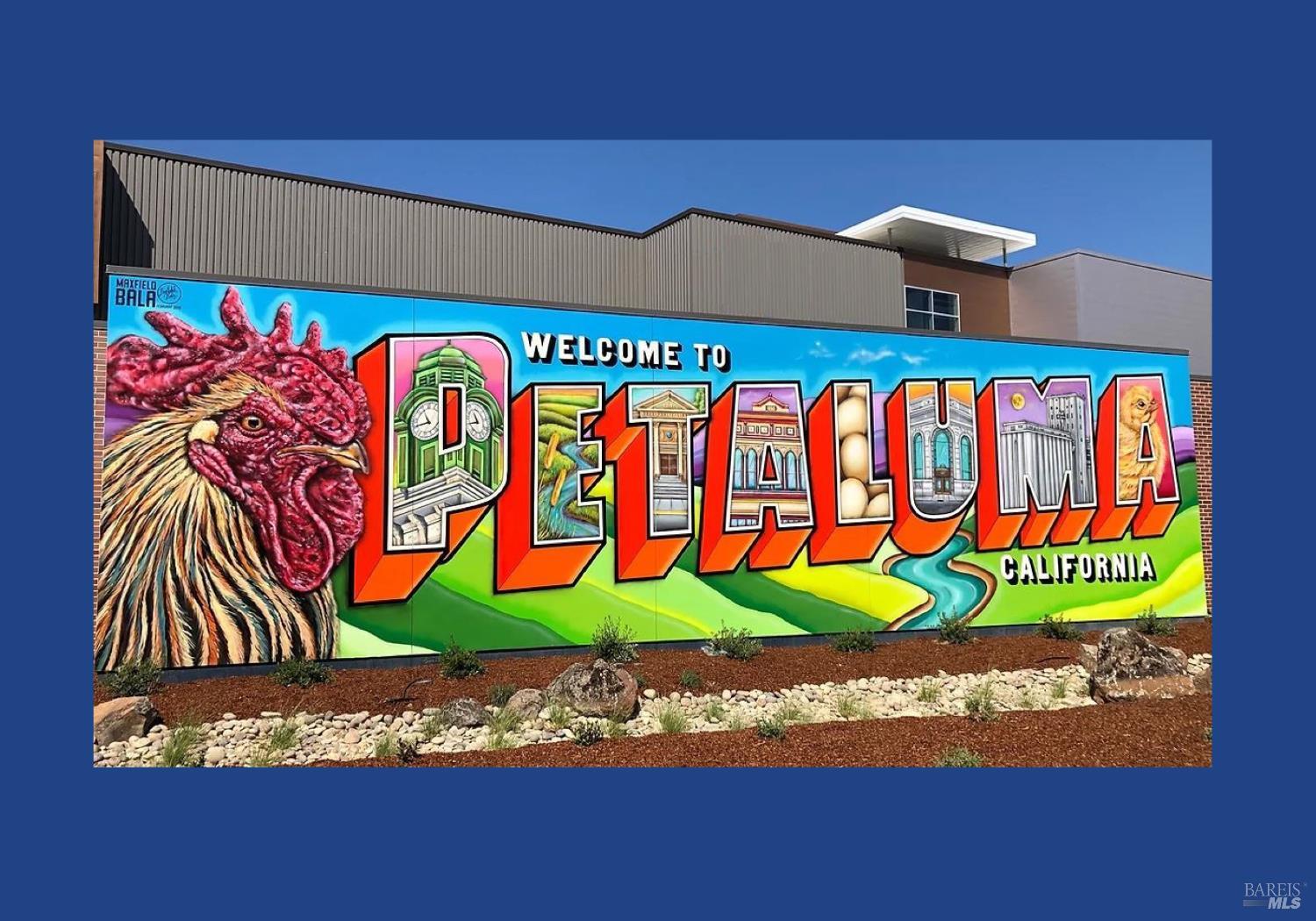 Detail Gallery Image 46 of 46 For 35 Princeville Ct, Petaluma,  CA 94954 - 4 Beds | 3 Baths