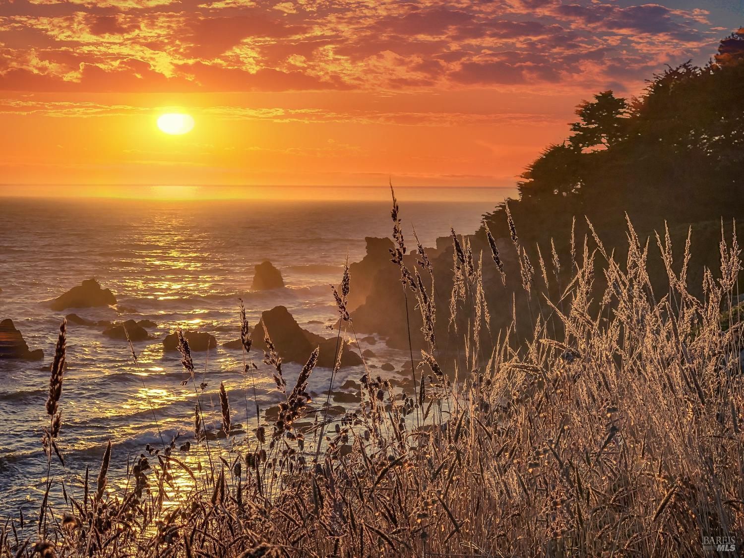 Detail Gallery Image 77 of 77 For 36939 Green Cove Dr, The Sea Ranch,  CA 95497 - 3 Beds | 3 Baths