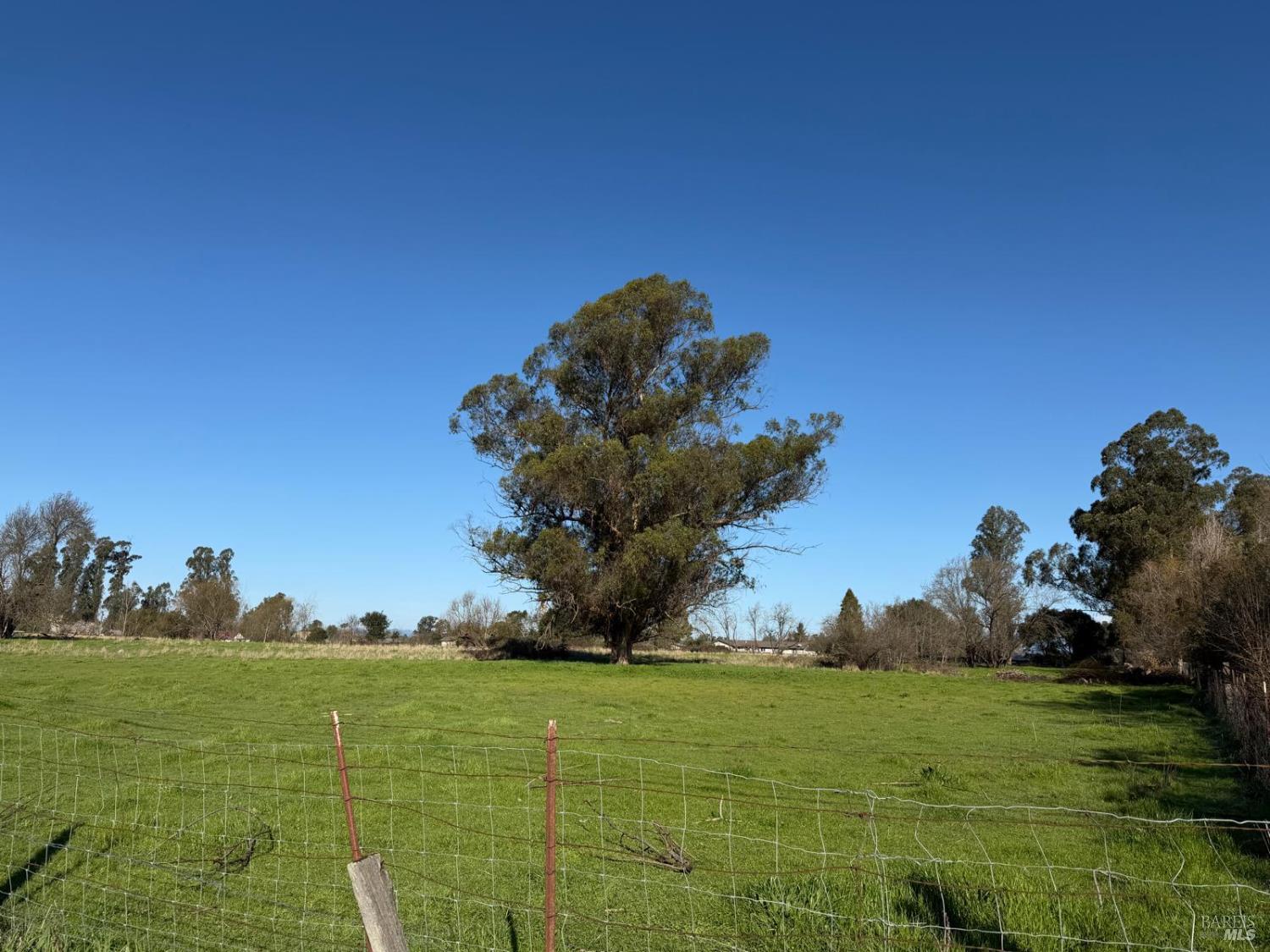 Detail Gallery Image 2 of 5 For 225 Millbrae Ave, Santa Rosa,  CA 95407 - – Beds | – Baths