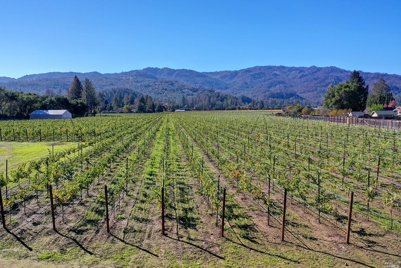 Detail Gallery Image 44 of 44 For 109 Dahlia St, Saint Helena,  CA 94574 - 3 Beds | 2/1 Baths