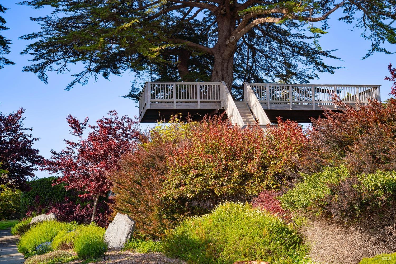 Detail Gallery Image 18 of 44 For 32550 Navarro Ridge Rd, Albion,  CA 95410 - – Beds | – Baths