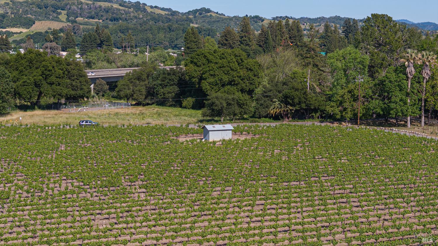 Detail Gallery Image 12 of 18 For 390 Magnolia Dr, Healdsburg,  CA 95448 - – Beds | – Baths
