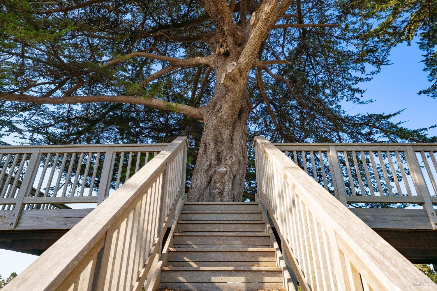 Detail Gallery Image 24 of 44 For 32550 Navarro Ridge Rd, Albion,  CA 95410 - – Beds | – Baths