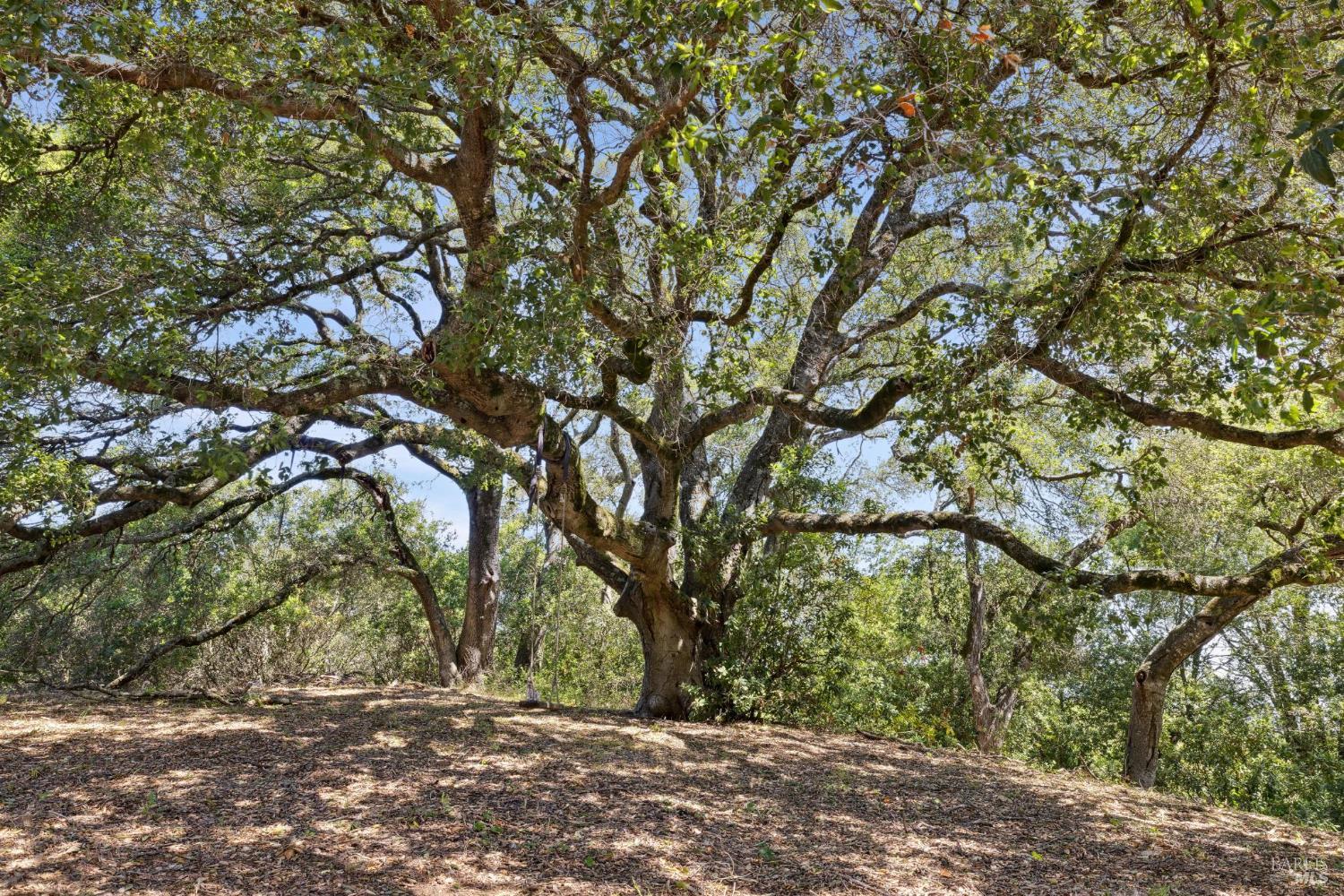 Detail Gallery Image 18 of 47 For 3350 White Alder Unkn, Sonoma,  CA 95476 - 3 Beds | 3 Baths