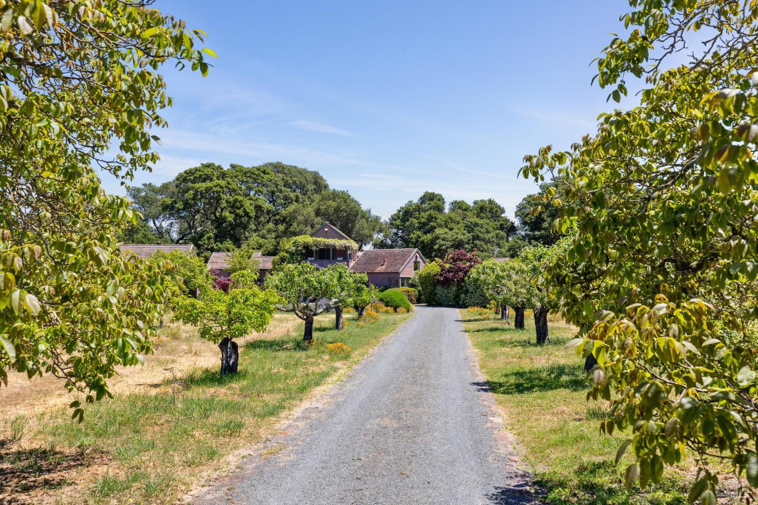 Detail Gallery Image 43 of 47 For 3350 White Alder Unkn, Sonoma,  CA 95476 - 3 Beds | 3 Baths