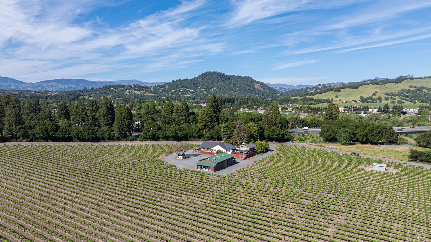 Detail Gallery Image 14 of 18 For 390 Magnolia Dr, Healdsburg,  CA 95448 - – Beds | – Baths