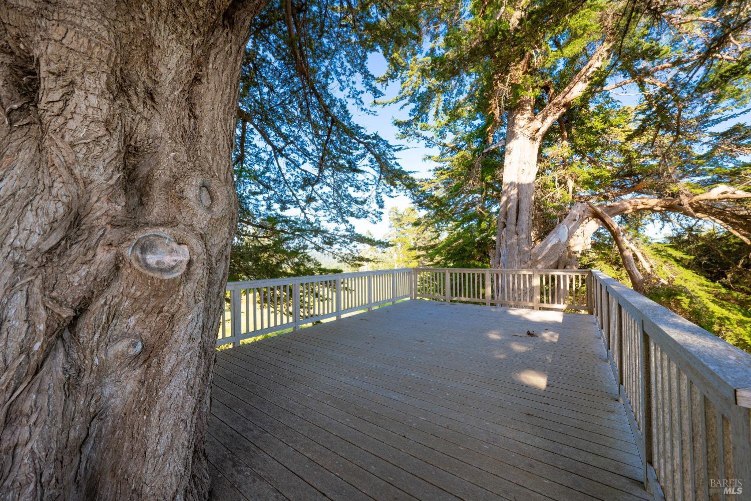 Detail Gallery Image 25 of 44 For 32550 Navarro Ridge Rd, Albion,  CA 95410 - – Beds | – Baths