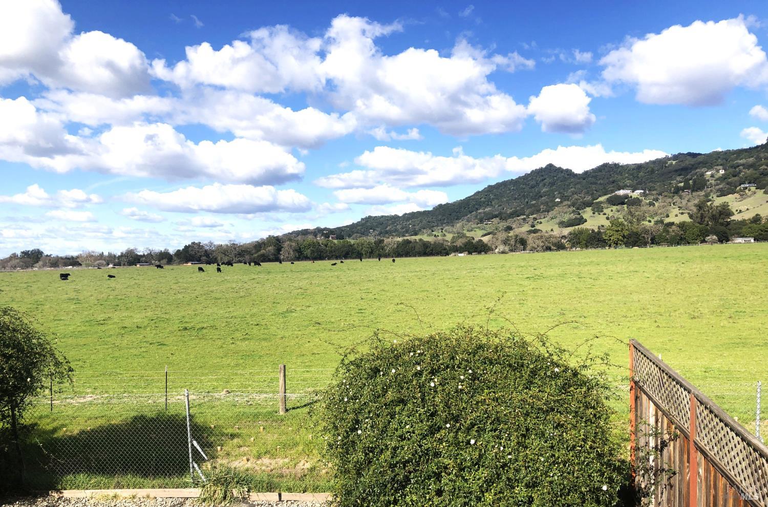 Detail Gallery Image 8 of 24 For 1508 Gladstone Way, Rohnert Park,  CA 94928 - 4 Beds | 2 Baths