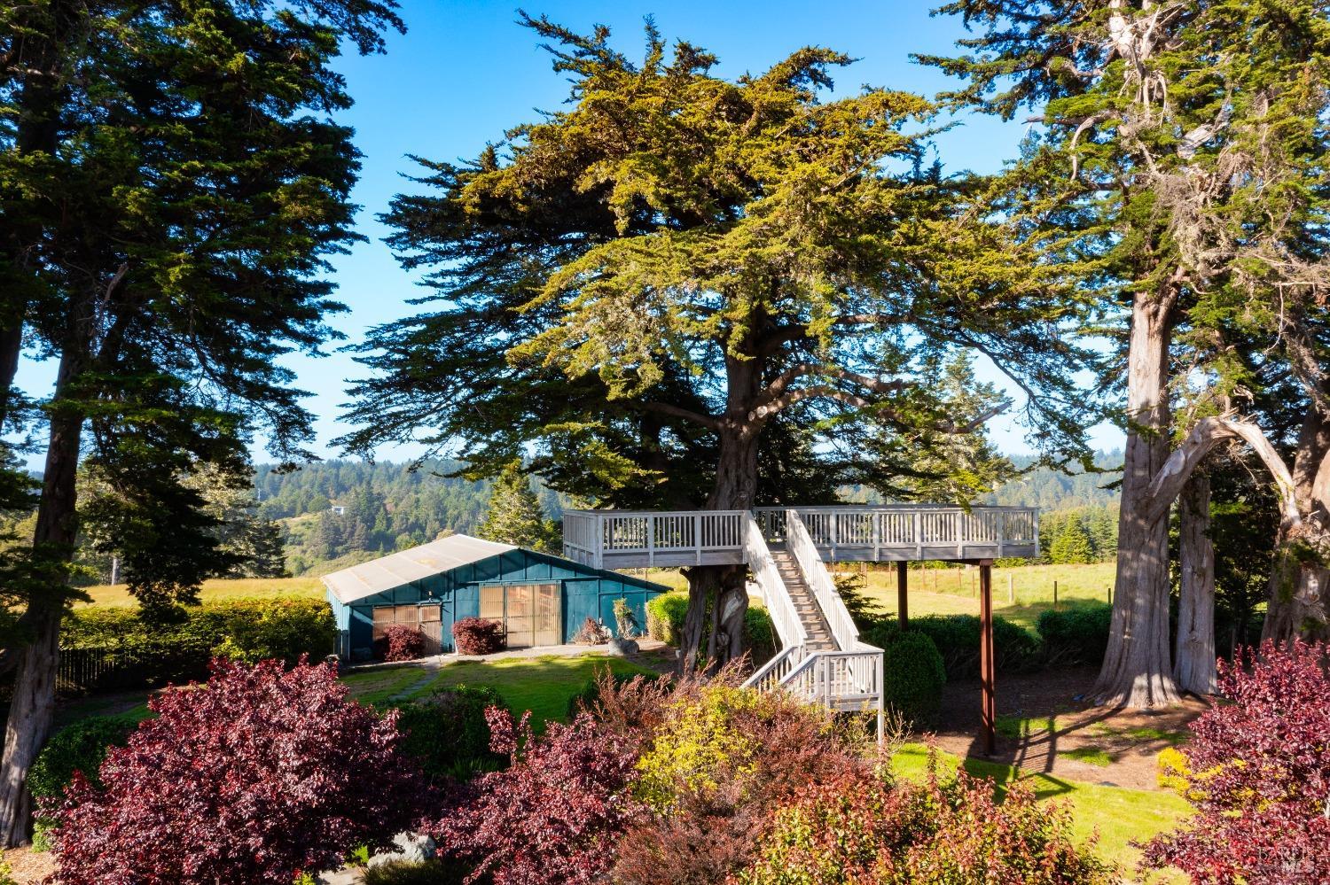 Detail Gallery Image 27 of 44 For 32550 Navarro Ridge Rd, Albion,  CA 95410 - – Beds | – Baths