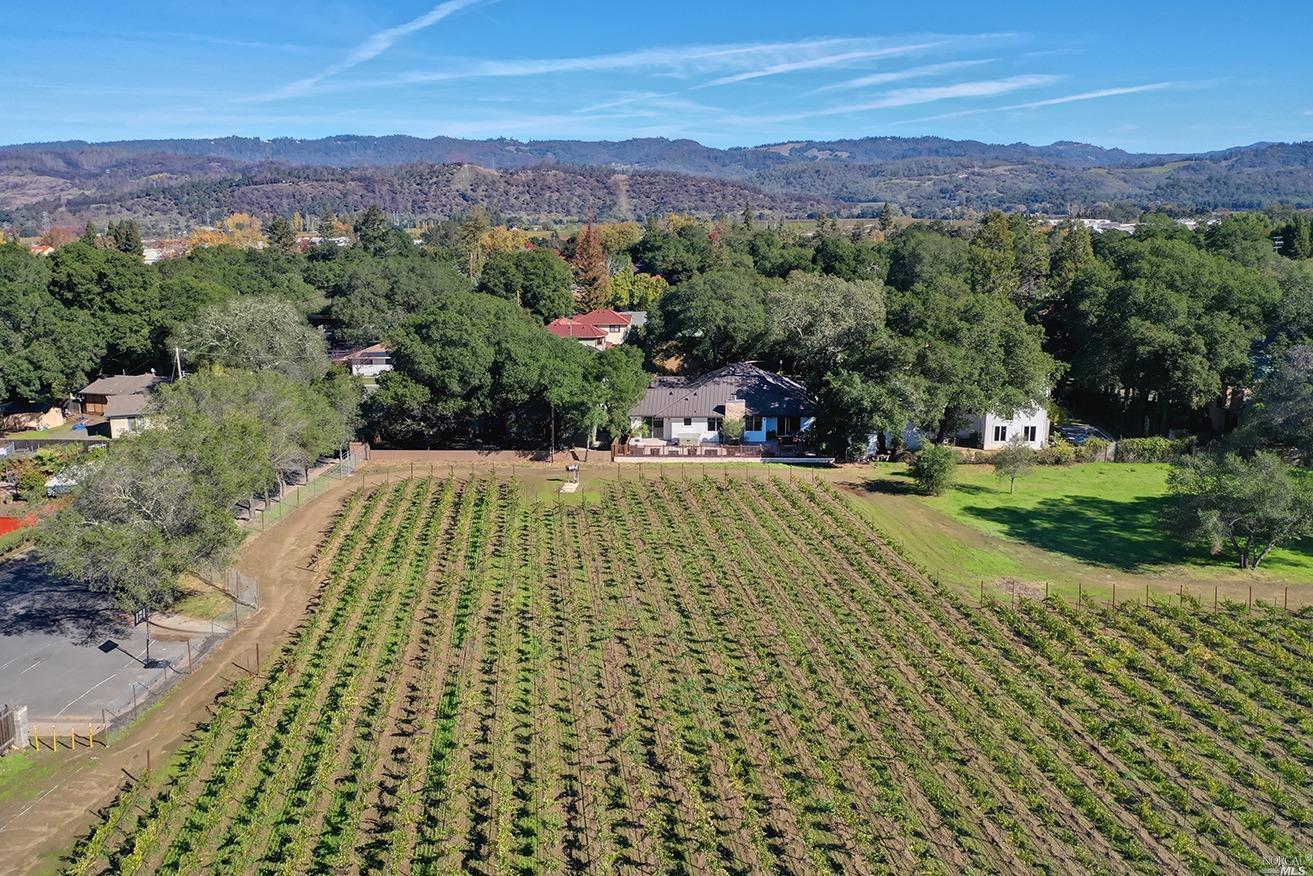 Detail Gallery Image 43 of 44 For 109 Dahlia St, Saint Helena,  CA 94574 - 3 Beds | 2/1 Baths