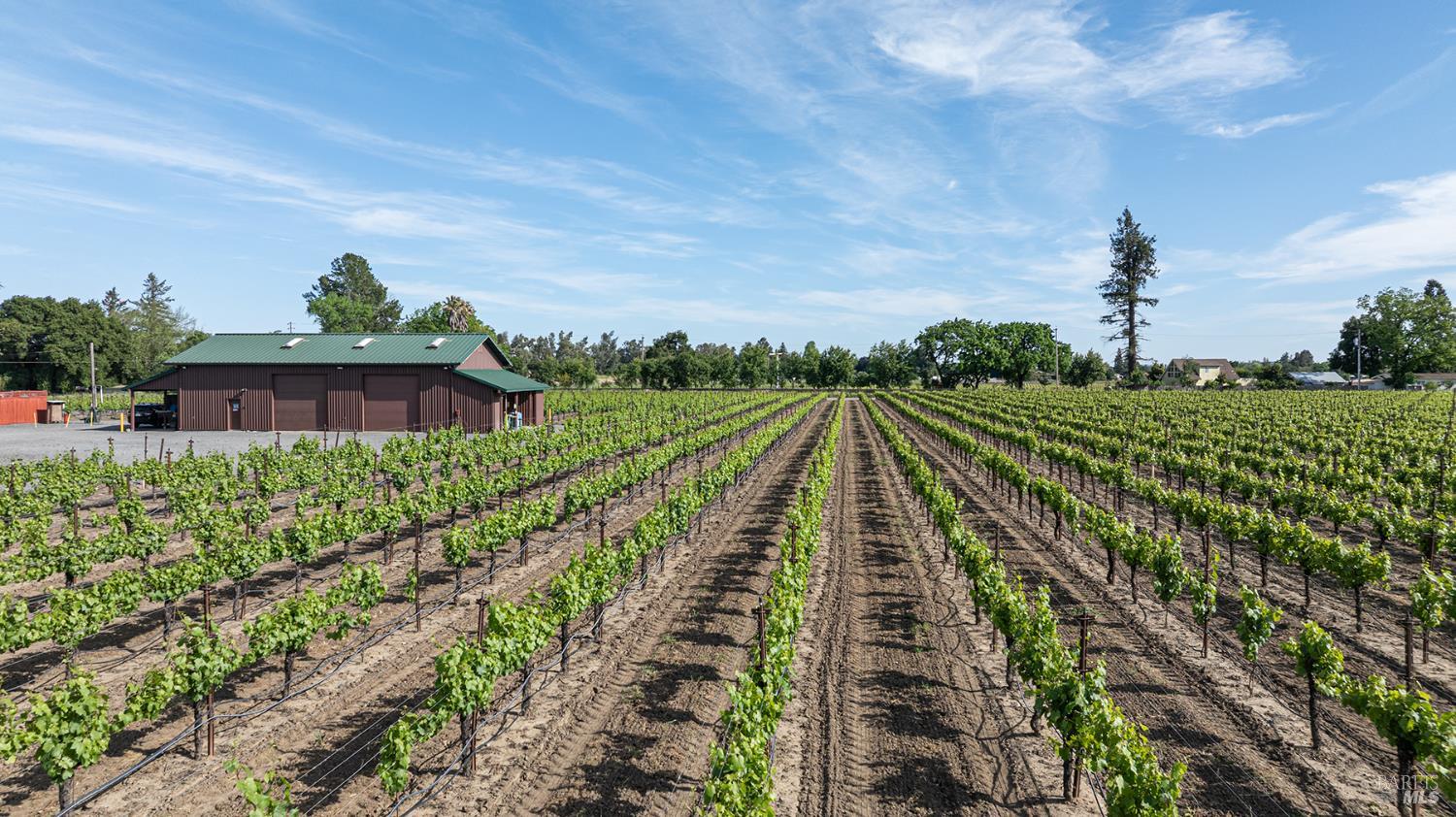 Detail Gallery Image 4 of 18 For 390 Magnolia Dr, Healdsburg,  CA 95448 - – Beds | – Baths