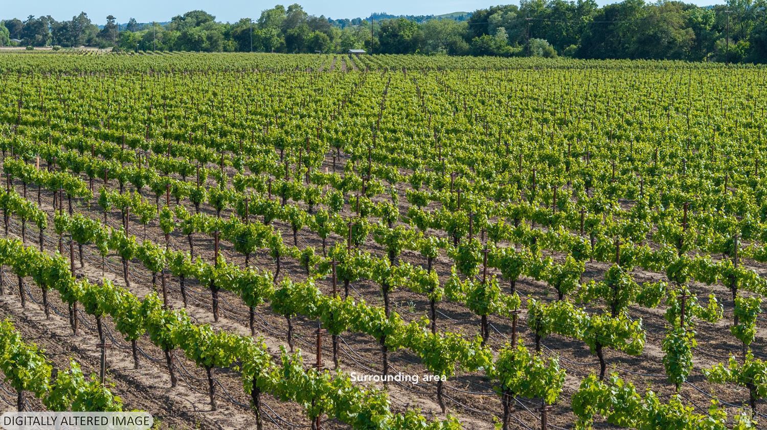 Detail Gallery Image 5 of 5 For 300 Kinley Dr, Healdsburg,  CA 95448 - – Beds | – Baths