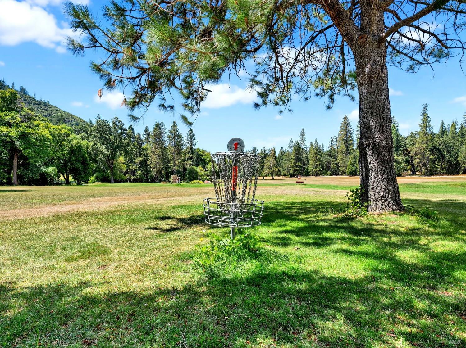 Detail Gallery Image 91 of 91 For 16451 Golf Rd, Cobb,  CA 95426 - 2 Beds | 1 Baths