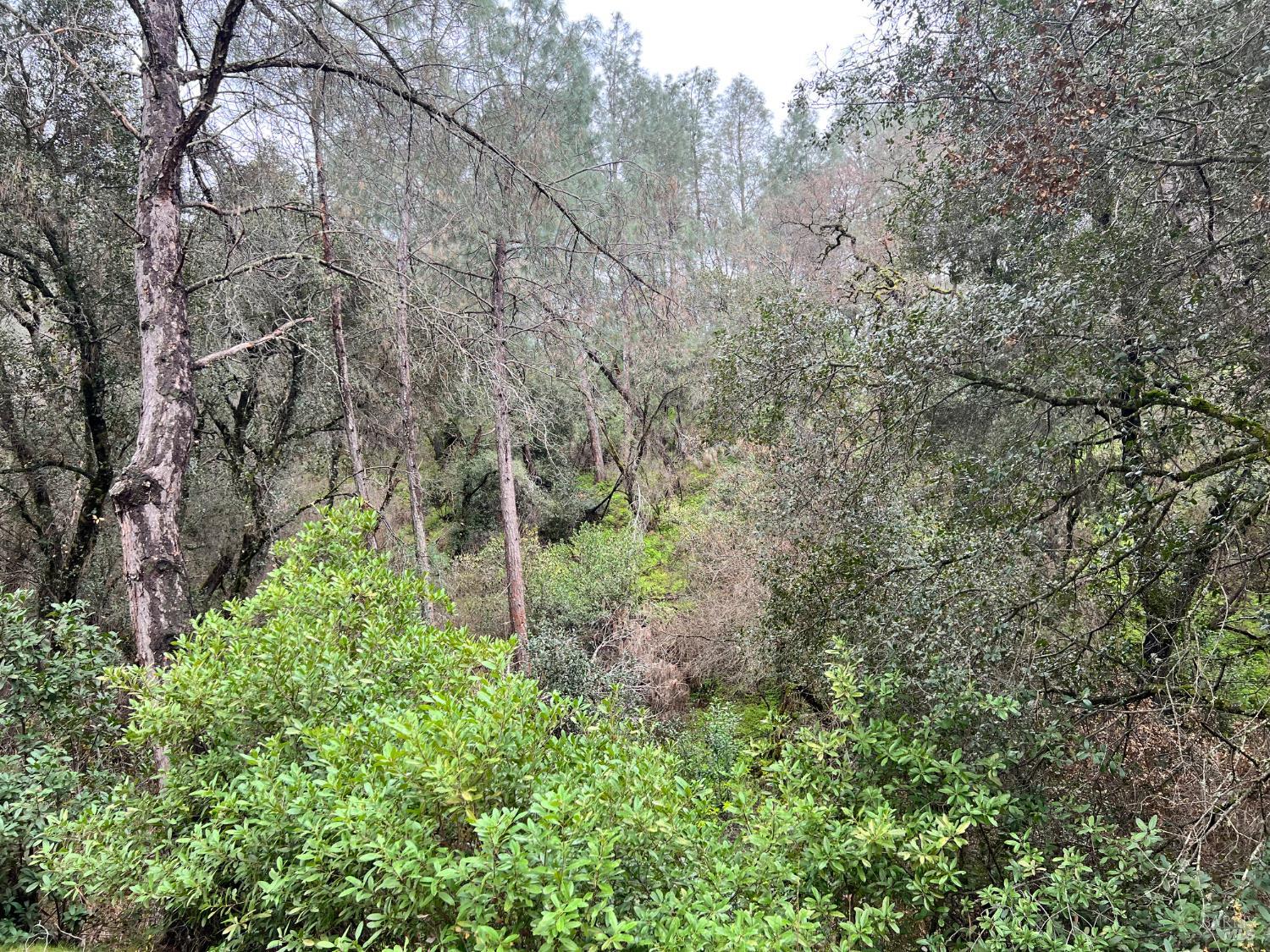 Detail Gallery Image 7 of 11 For 12215 Mountain View Dr, Clearlake Oaks,  CA 95423 - – Beds | – Baths