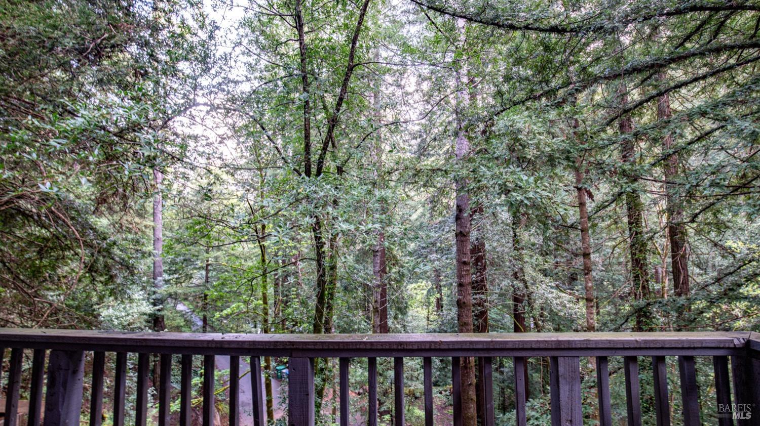 Detail Gallery Image 43 of 81 For 7456 Sir Francis Drake Blvd, Lagunitas,  CA 94938 - 3 Beds | 4 Baths