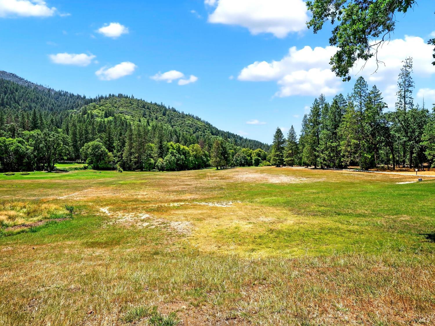 Detail Gallery Image 90 of 91 For 16451 Golf Rd, Cobb,  CA 95426 - 2 Beds | 1 Baths