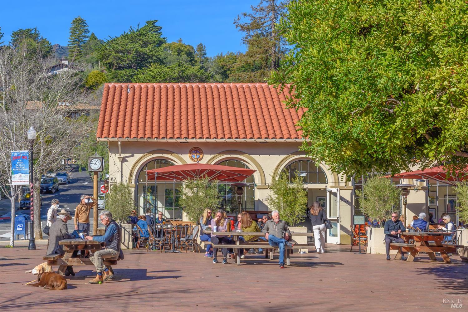 Detail Gallery Image 45 of 45 For 115 Eucalyptus Knoll St, Mill Valley,  CA 94941 - 2 Beds | 2 Baths