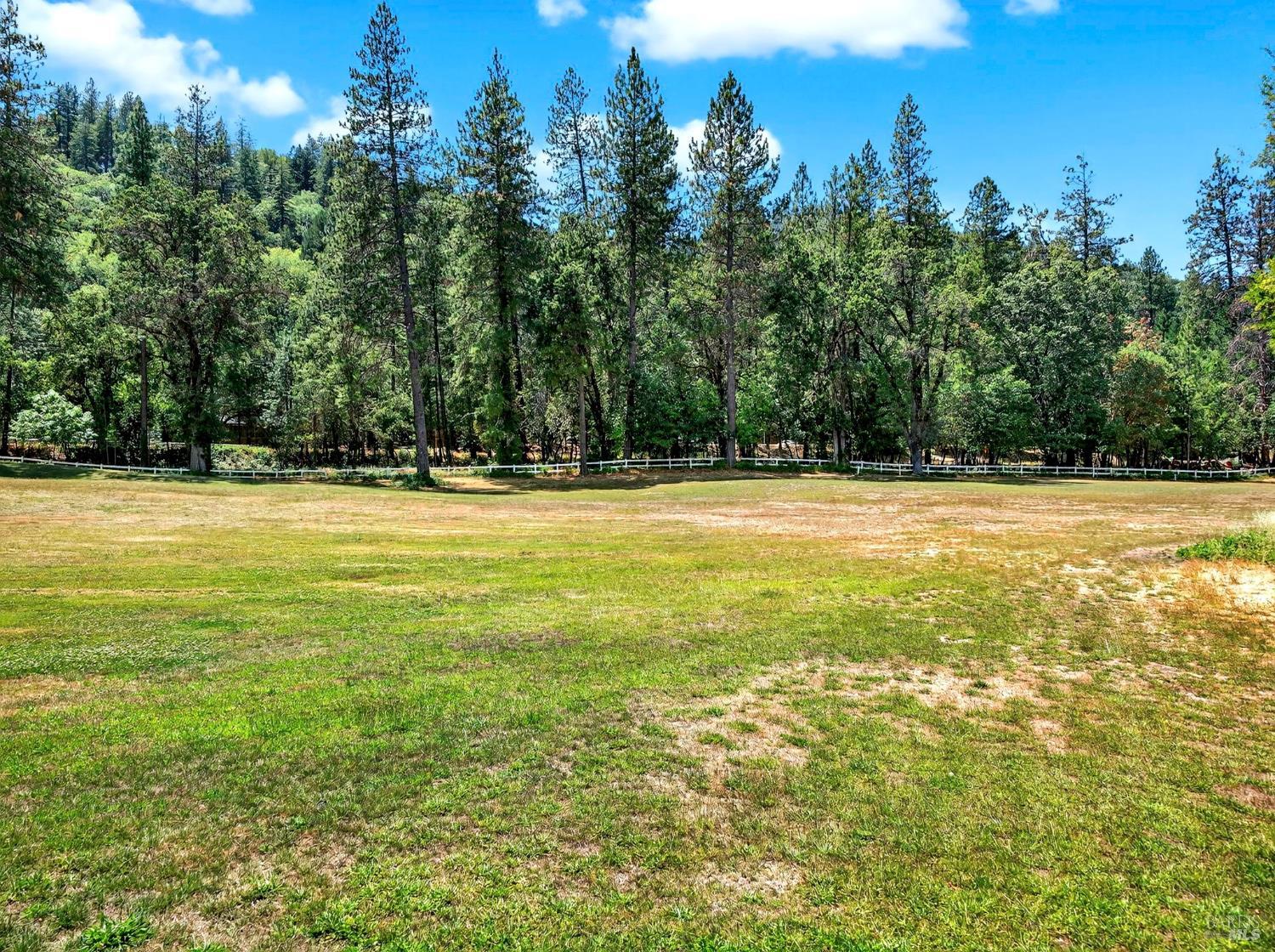 Detail Gallery Image 83 of 91 For 16451 Golf Rd, Cobb,  CA 95426 - 2 Beds | 1 Baths