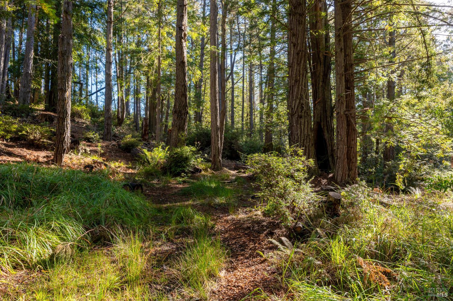 Detail Gallery Image 42 of 45 For 33300 Sea Forest Dr, The Sea Ranch,  CA 95497 - 2 Beds | 2/1 Baths