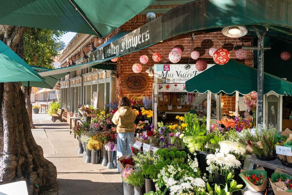 Detail Gallery Image 35 of 37 For 146 Morning Sun Ave, Mill Valley,  CA 94941 - 3 Beds | 2 Baths