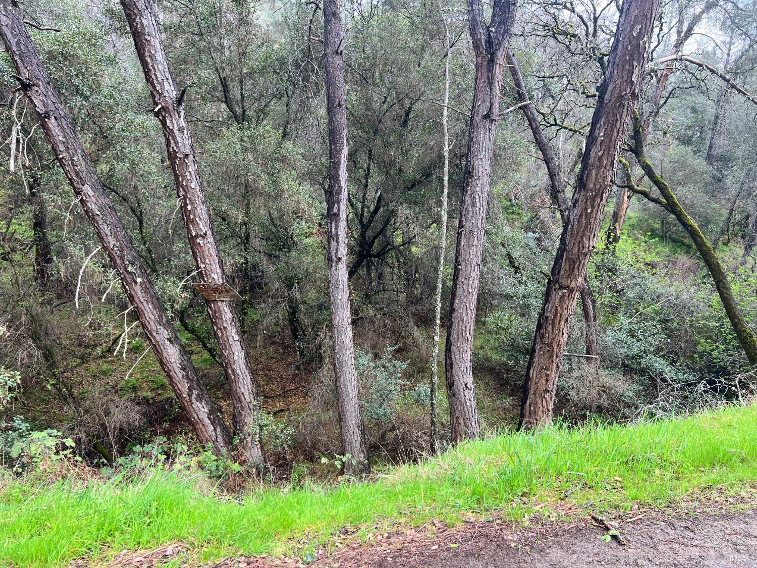 Detail Gallery Image 5 of 11 For 12215 Mountain View Dr, Clearlake Oaks,  CA 95423 - – Beds | – Baths