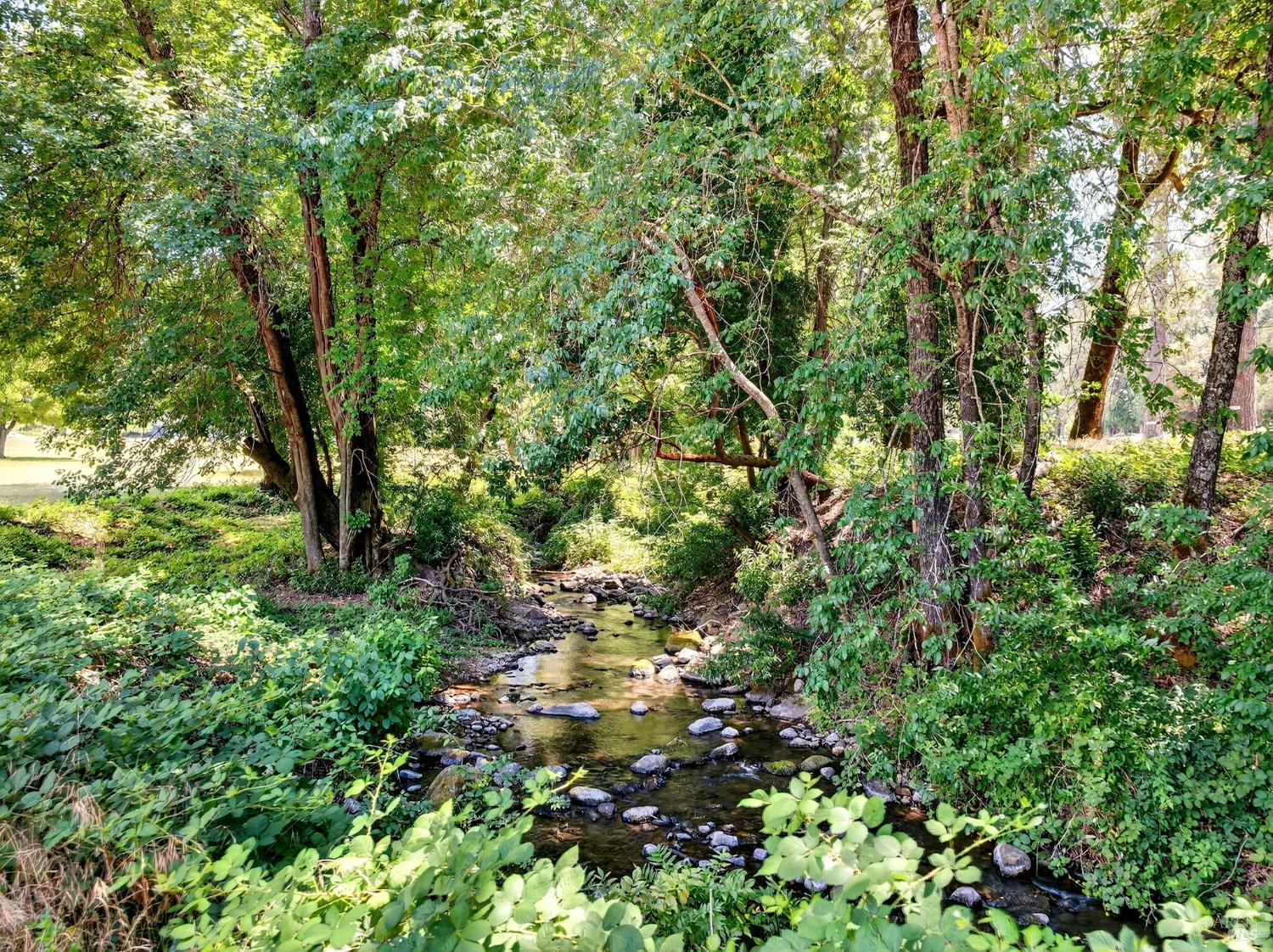 Detail Gallery Image 86 of 91 For 16451 Golf Rd, Cobb,  CA 95426 - 2 Beds | 1 Baths