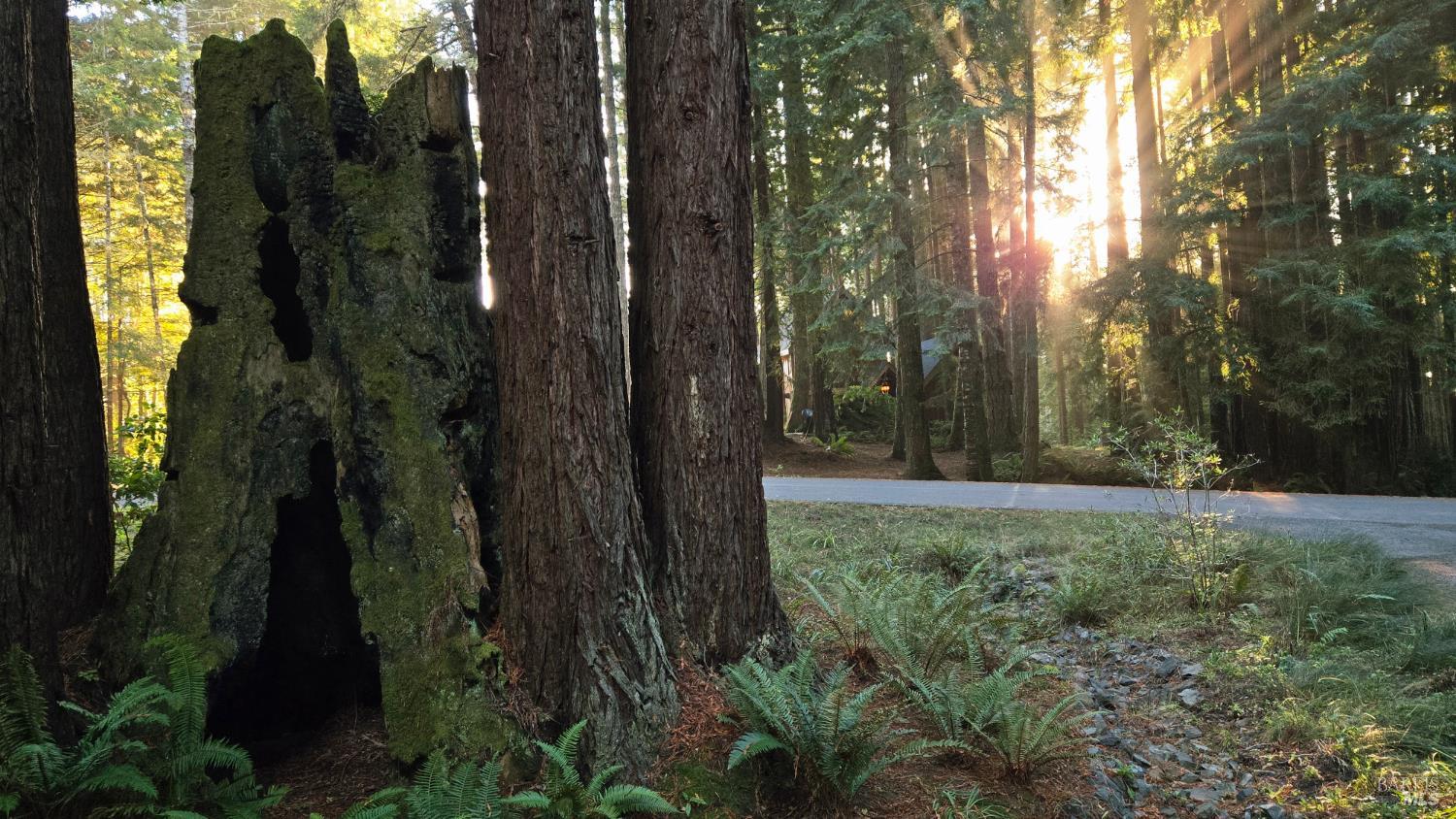 Detail Gallery Image 36 of 40 For 37162 Schooner Dr, The Sea Ranch,  CA 95497 - 1 Beds | 1 Baths