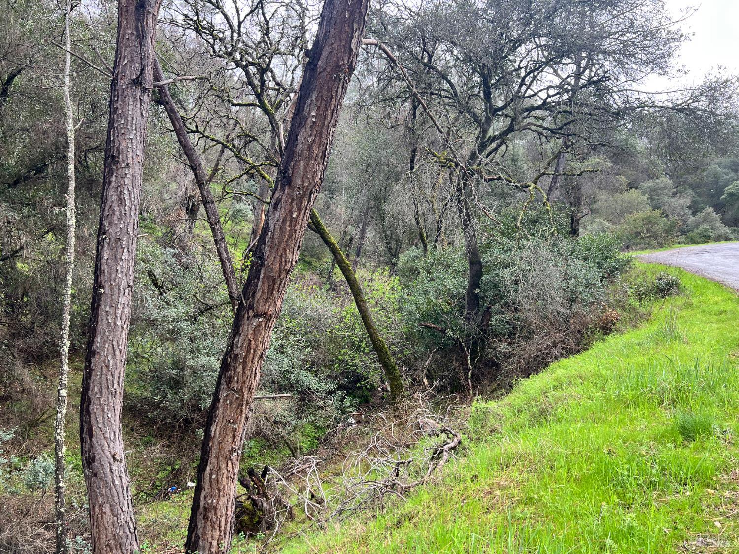 Detail Gallery Image 4 of 11 For 12215 Mountain View Dr, Clearlake Oaks,  CA 95423 - – Beds | – Baths