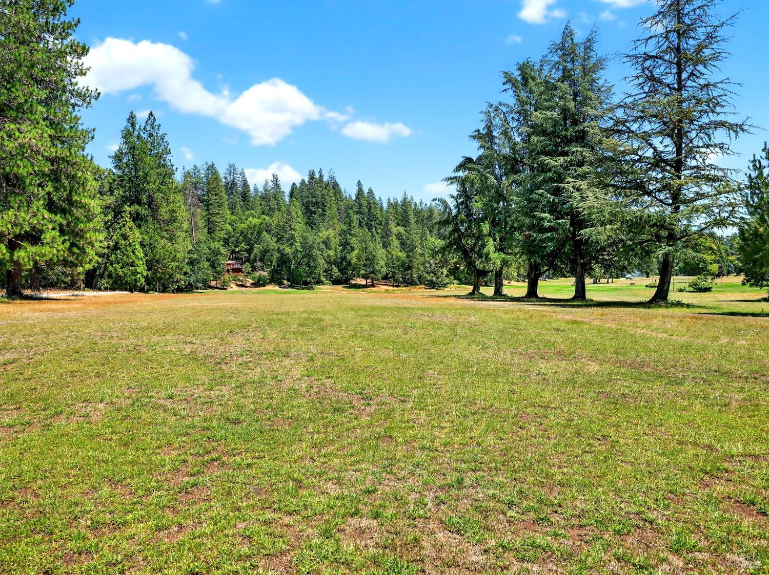 Detail Gallery Image 87 of 91 For 16451 Golf Rd, Cobb,  CA 95426 - 2 Beds | 1 Baths