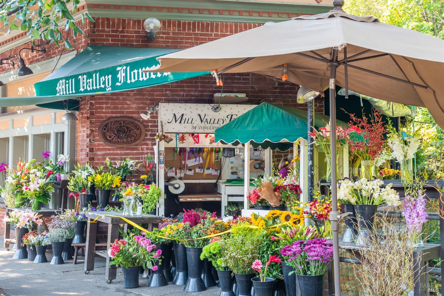 Detail Gallery Image 42 of 45 For 115 Eucalyptus Knoll St, Mill Valley,  CA 94941 - 2 Beds | 2 Baths