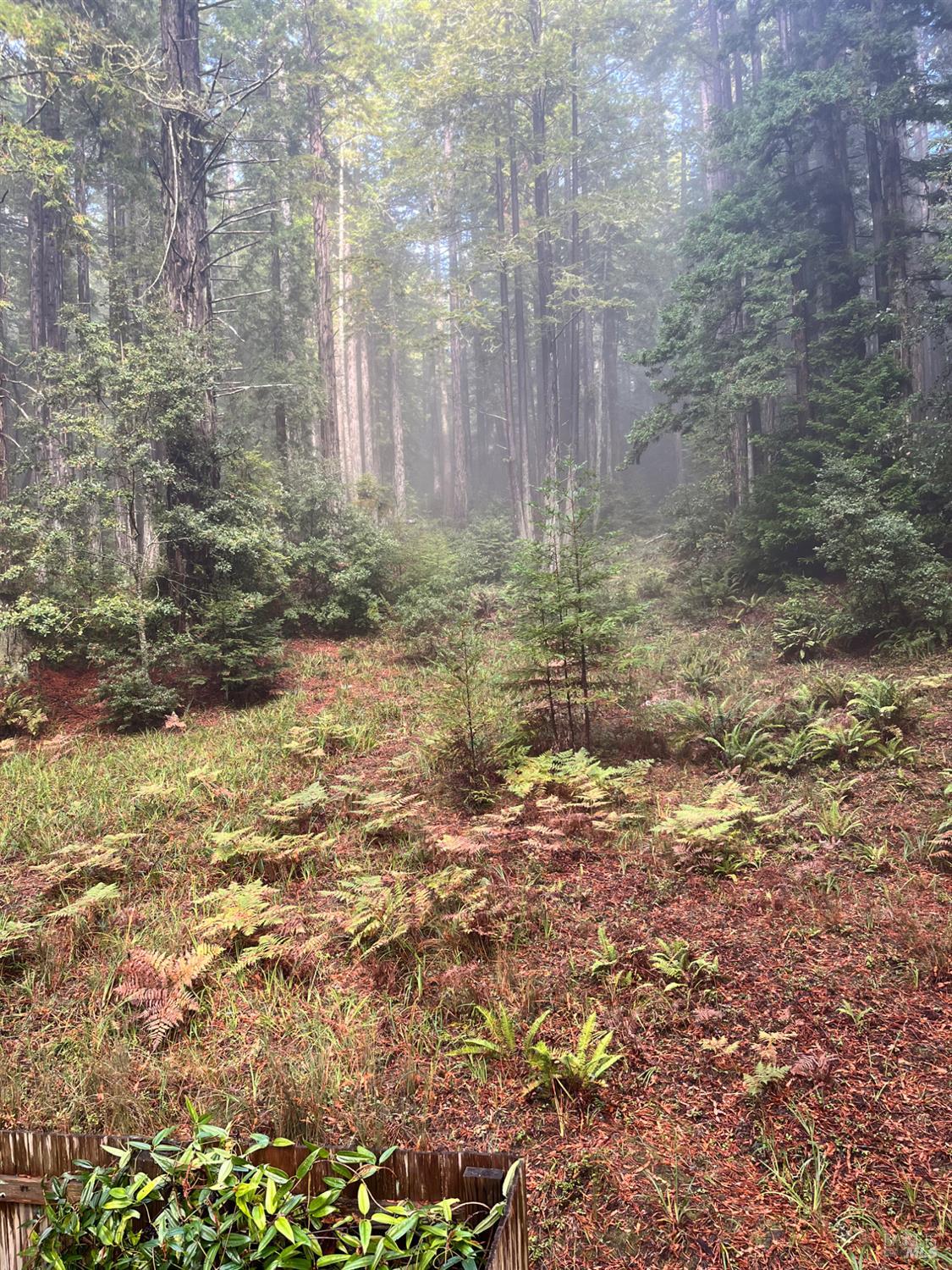 Detail Gallery Image 38 of 40 For 37162 Schooner Dr, The Sea Ranch,  CA 95497 - 1 Beds | 1 Baths