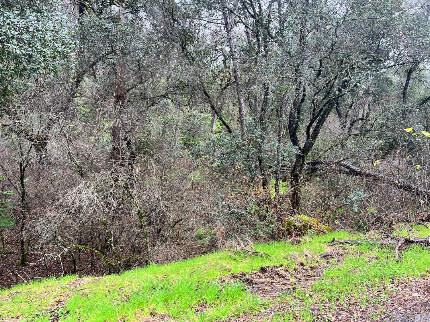 Detail Gallery Image 3 of 11 For 12215 Mountain View Dr, Clearlake Oaks,  CA 95423 - – Beds | – Baths