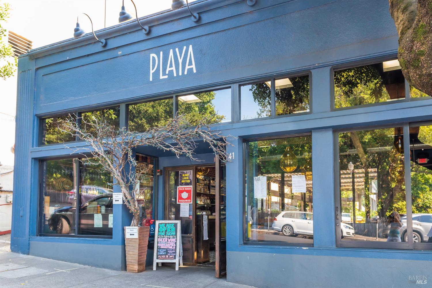 Detail Gallery Image 43 of 45 For 115 Eucalyptus Knoll St, Mill Valley,  CA 94941 - 2 Beds | 2 Baths