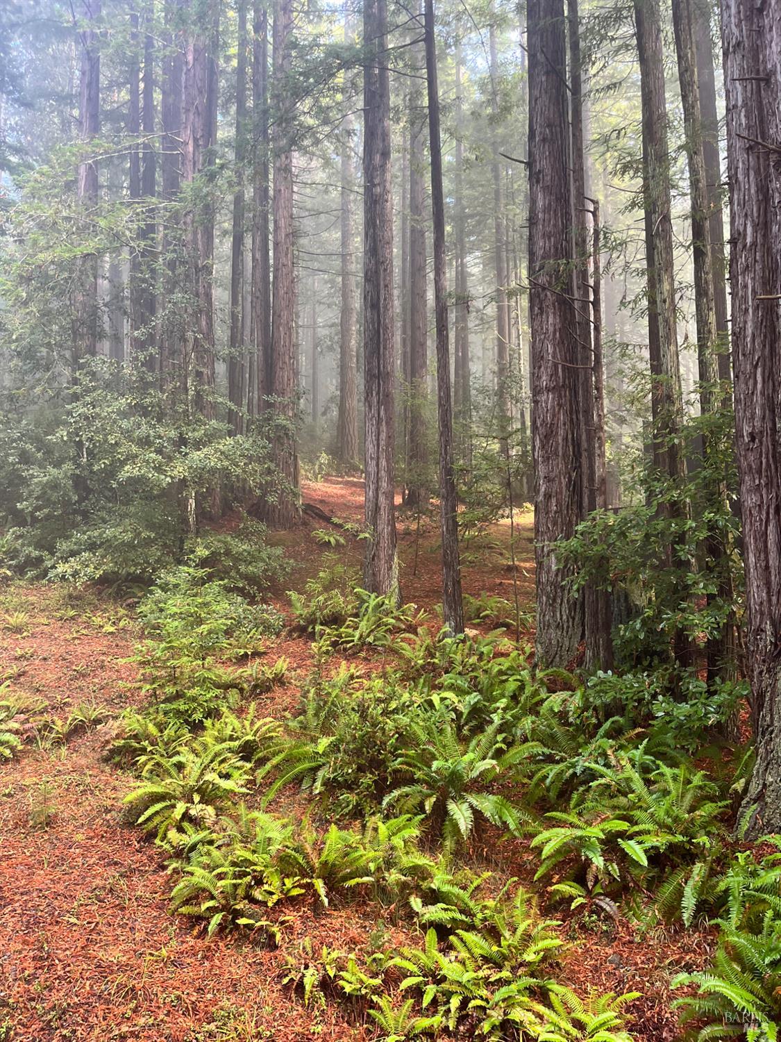 Detail Gallery Image 37 of 40 For 37162 Schooner Dr, The Sea Ranch,  CA 95497 - 1 Beds | 1 Baths