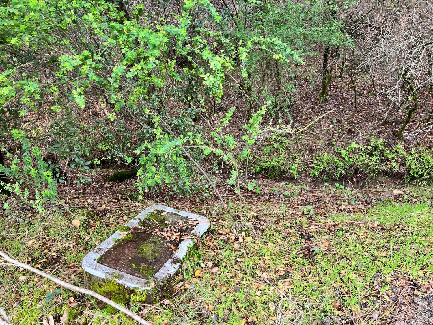 Detail Gallery Image 9 of 11 For 12215 Mountain View Dr, Clearlake Oaks,  CA 95423 - – Beds | – Baths