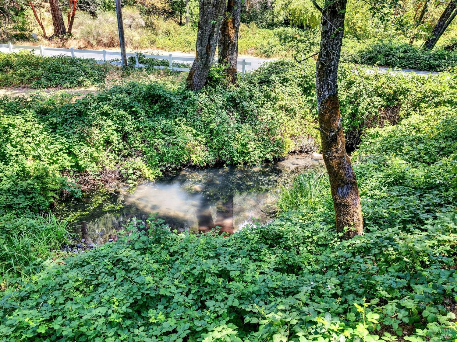 Detail Gallery Image 76 of 91 For 16451 Golf Rd, Cobb,  CA 95426 - 2 Beds | 1 Baths