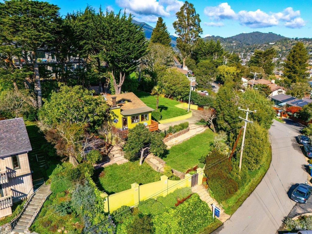 Detail Gallery Image 23 of 37 For 146 Morning Sun Ave, Mill Valley,  CA 94941 - 3 Beds | 2 Baths