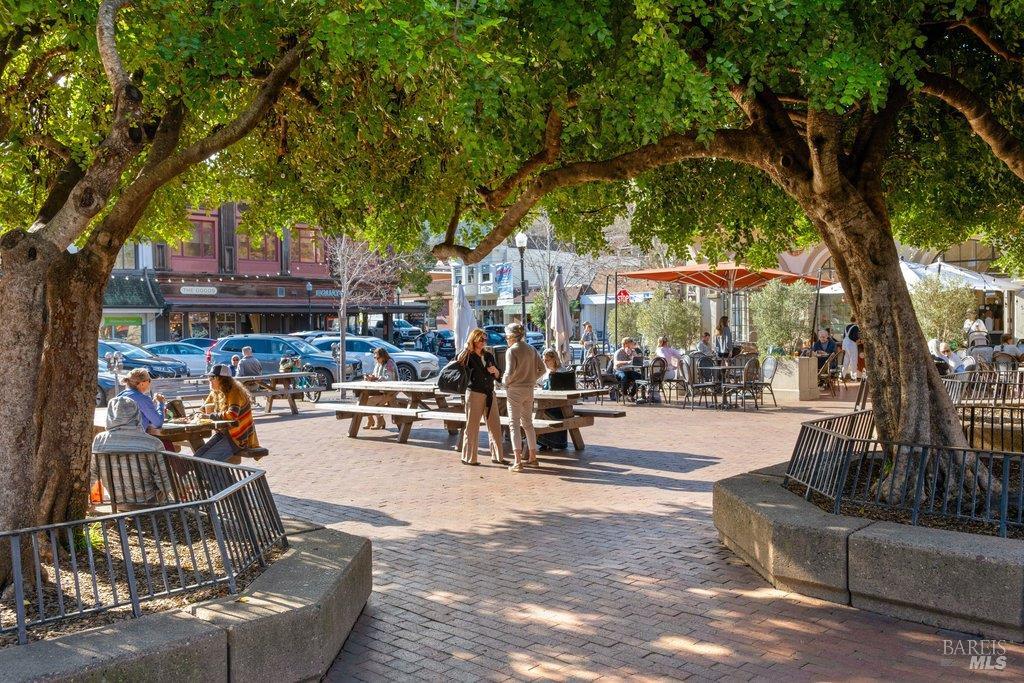 Detail Gallery Image 32 of 37 For 146 Morning Sun Ave, Mill Valley,  CA 94941 - 3 Beds | 2 Baths