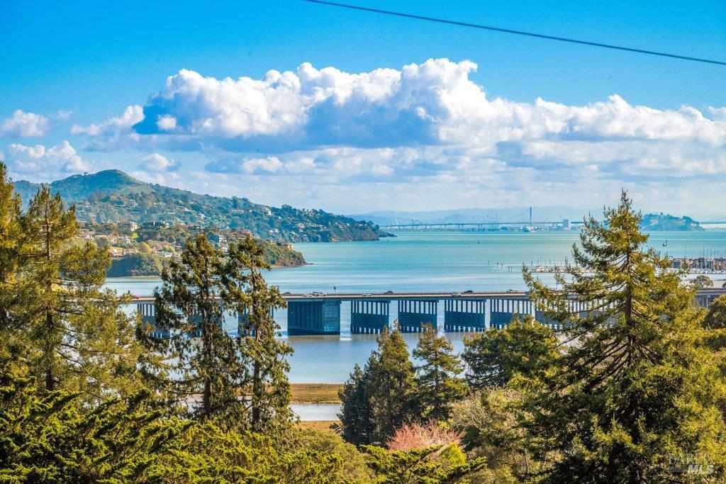 Detail Gallery Image 25 of 37 For 146 Morning Sun Ave, Mill Valley,  CA 94941 - 3 Beds | 2 Baths