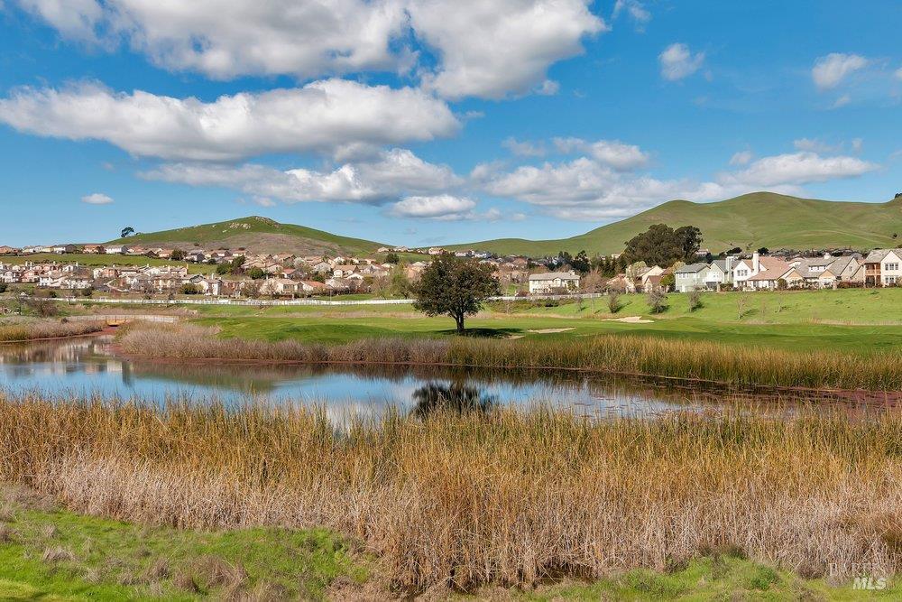 Detail Gallery Image 31 of 39 For 8128 Carlisle Way, Vallejo,  CA 94591 - 3 Beds | 2/1 Baths