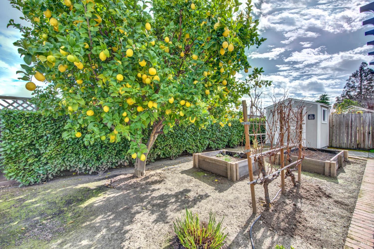 Detail Gallery Image 34 of 39 For 3654 Diablo St, Napa,  CA 94558 - 3 Beds | 2 Baths